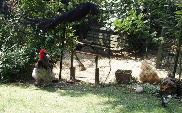 03072015 patty coq cochin vigilant