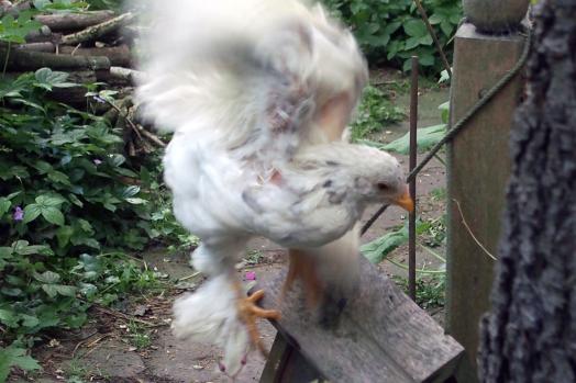 20052015 oups equilibre instable