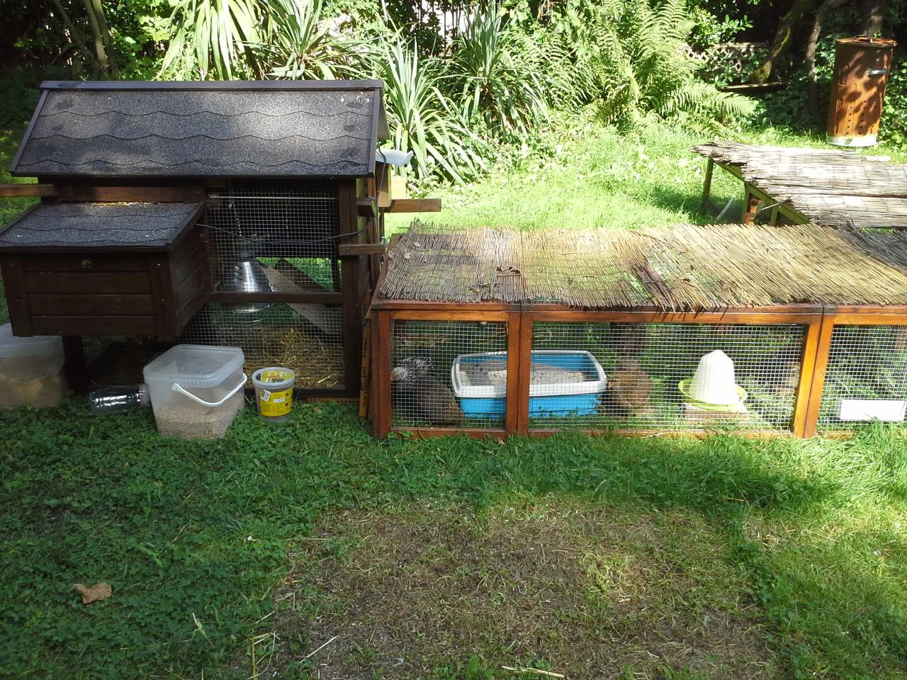 Des cannisses sur le parcours des poussins