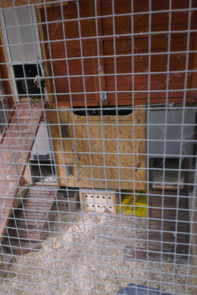 Amenagement de nouveaux dortoirs pour les poulets