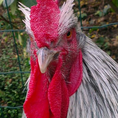 TOUS MES VŒUX POUR L’ANNÉE NOUVELLE !