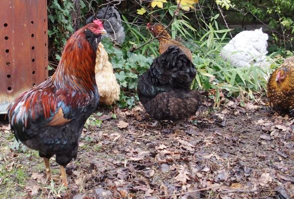 01012016 tac surveille son petit monde