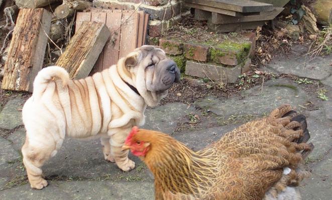 01022015 cochin et ourqo 1