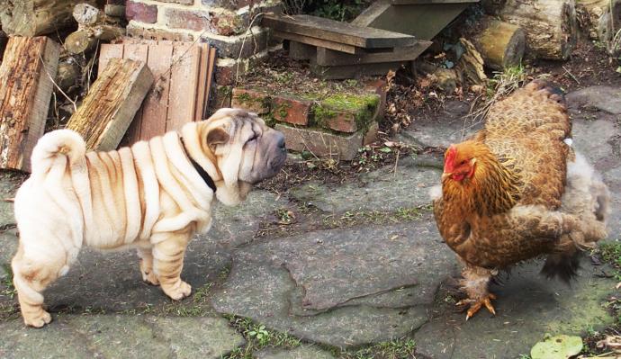 01022015 cochin et ourqo 2