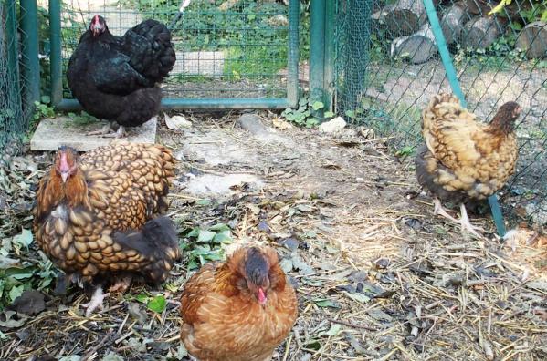 04102015 groupe au petit matin 1