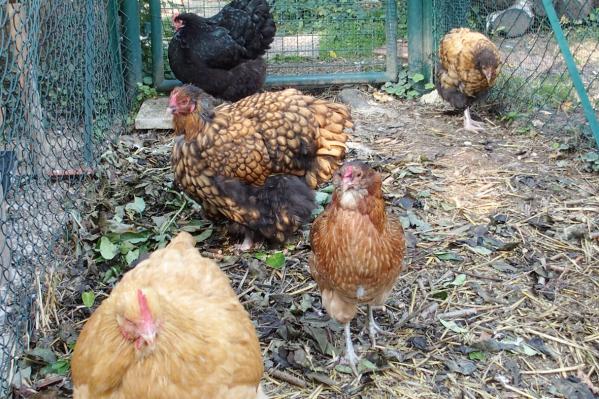 04102015 groupe au petit matin 3