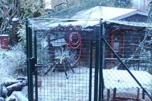 05022015 enclos et poulailler sous la neige