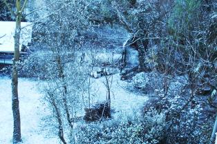 05022015 jardin sous la neige