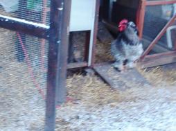 05022015 patty retardataire