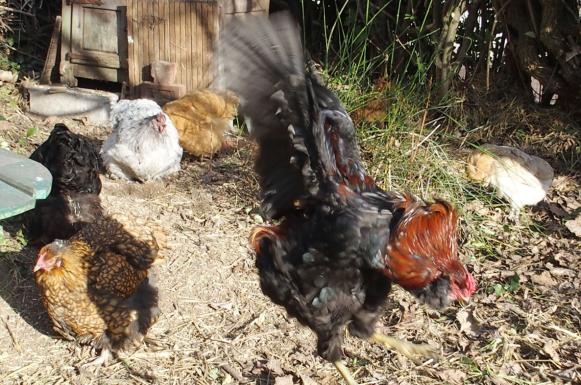 07122015 envol de tac