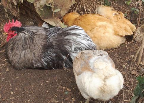 08022015 a pattyse pouille 3