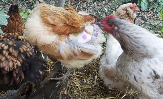 10042015 1 splashie interessee par la nouvelle mode