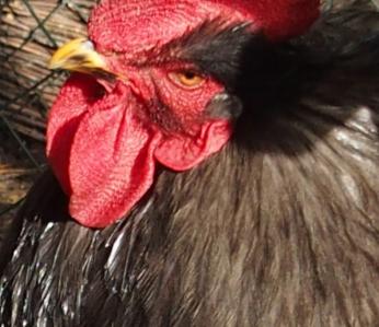 11022015 tete patty 2