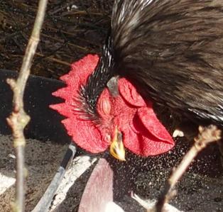 11022015 tete patty 3