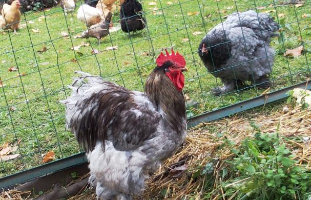 16102015 patty en mue 1