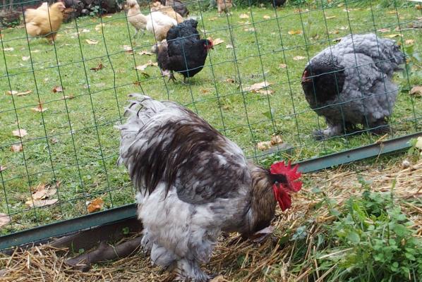 16102015 patty en mue 2