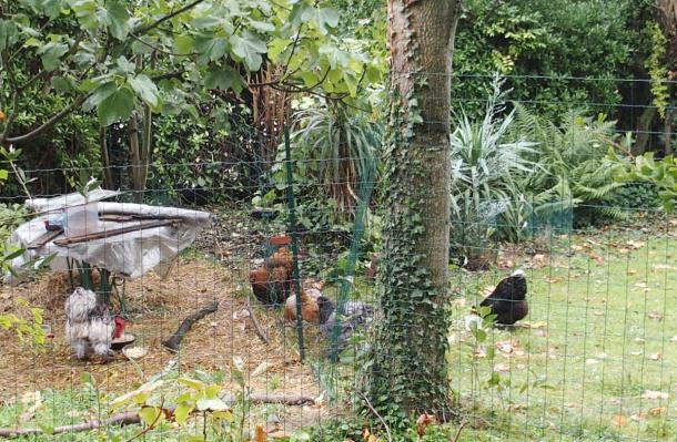 16102015 vue sur les parcs