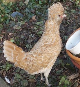 17022015 estia boit 3