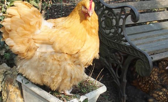 17032015 mimi sur le pot