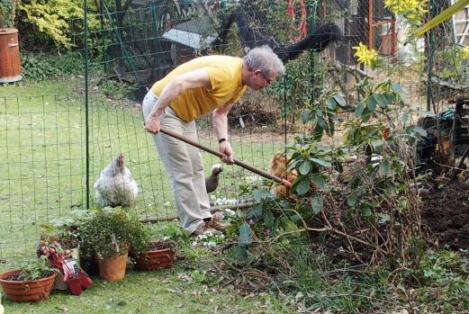 18032015 refection plate bande 1