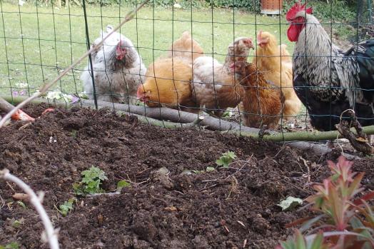 18032015 refection plate bande 2