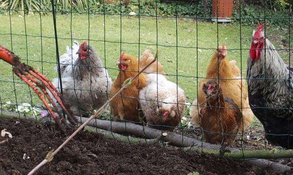 18032015 refection plates bandes