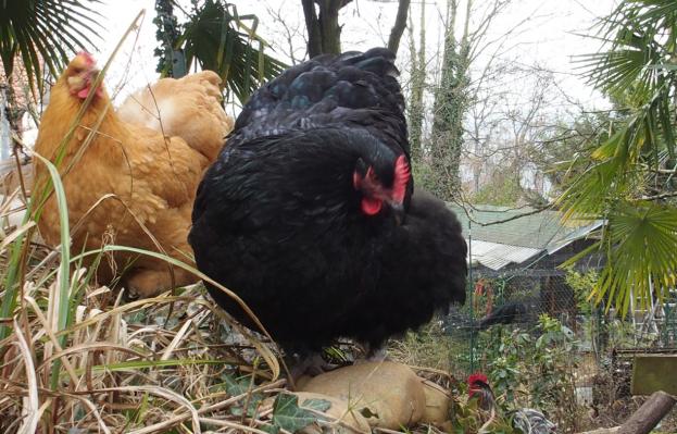 19022015 zoe et smoothie au bord 1