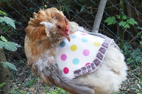 19042015 anti derapant 1