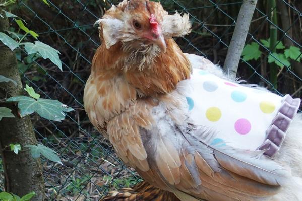 19042015 le look de printemps 1