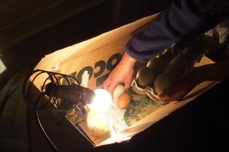 28022015 installation dans le carton