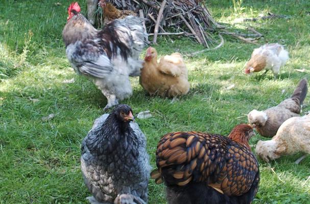 29082015 attente du gouter