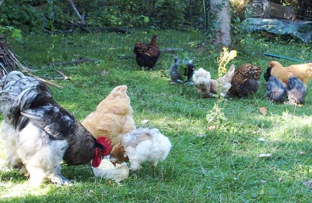 29082015 plusieurs plats au gouter