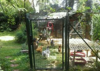 Filet au dessus enclos