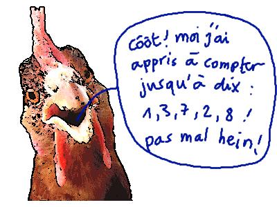 Poule comptant